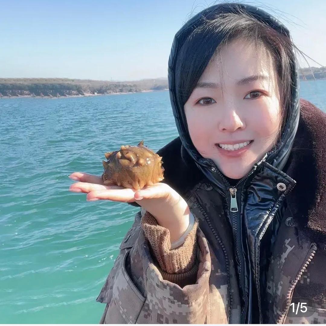 小悦儿海参