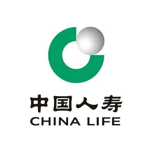 中国人寿财险企业店