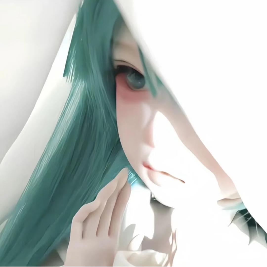机翼的小被子
