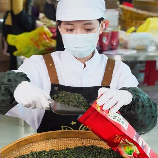 一芽香铁观音