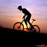 徐州优讯虫害治理