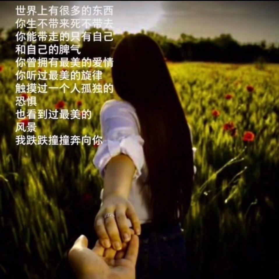 .不染