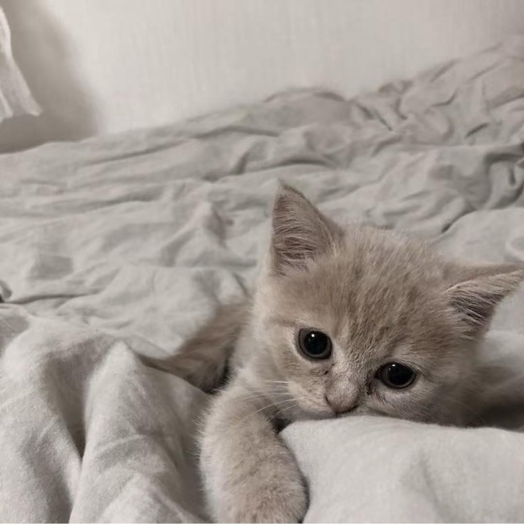 坏情绪