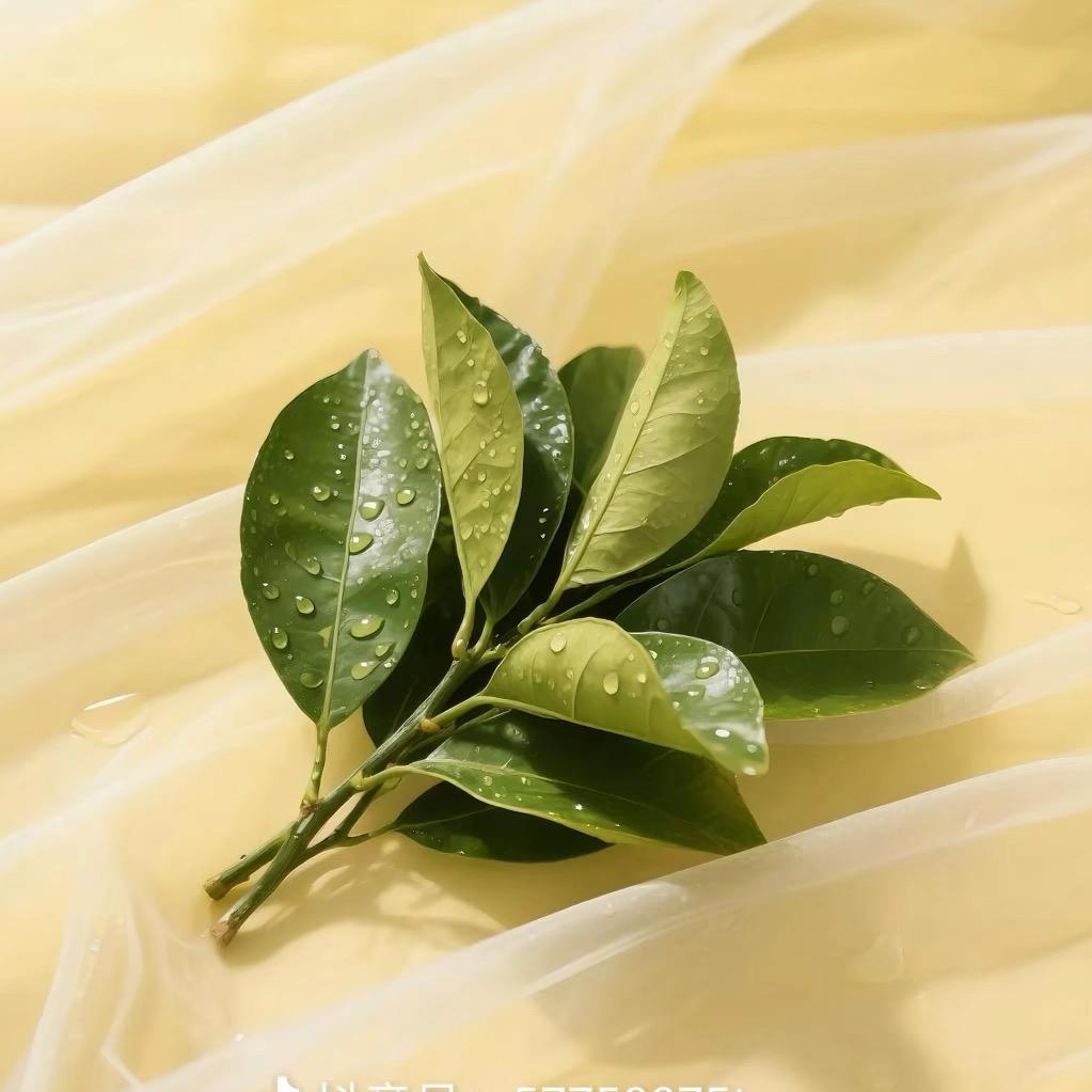 懒懒得亿的小仙女