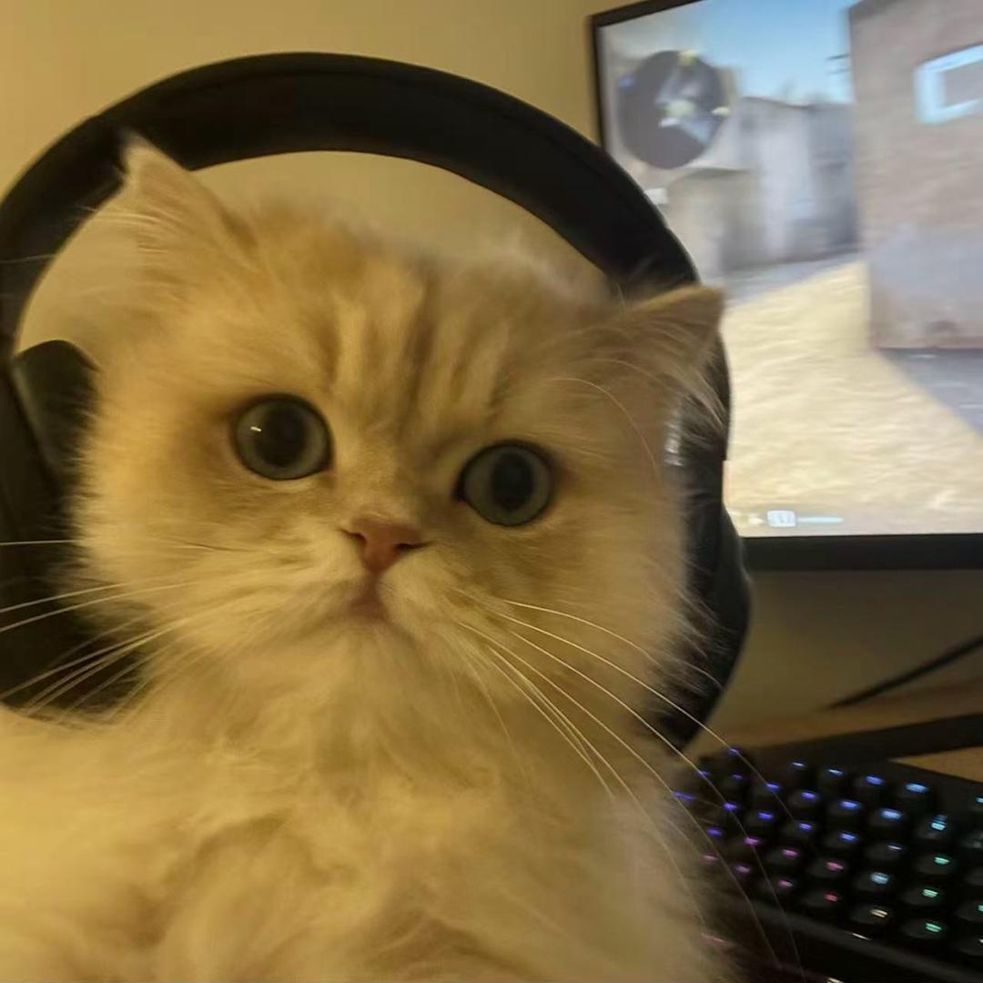 aa