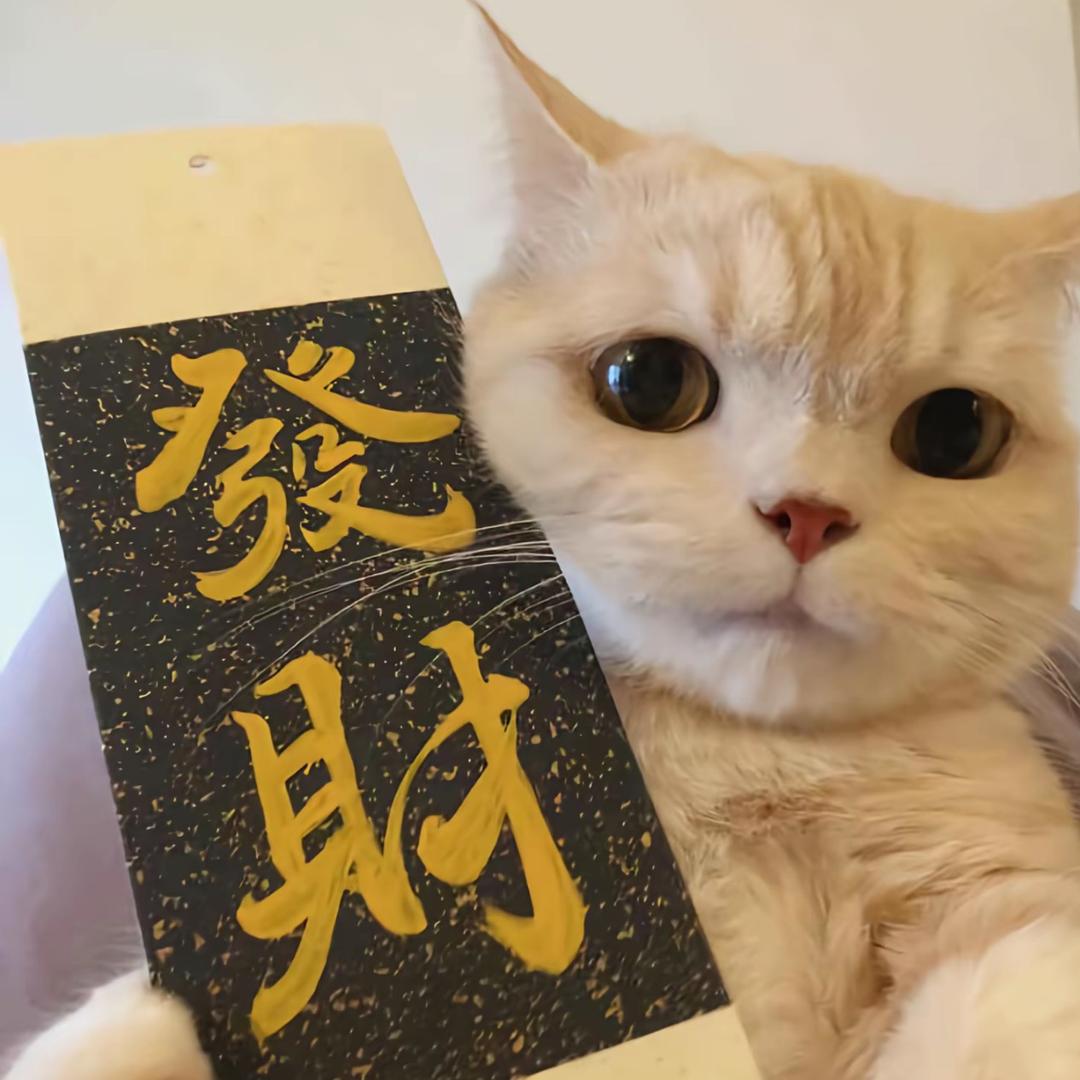 宝泉山禾悦（08年民宿主理人）