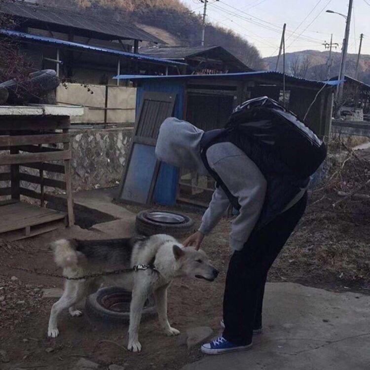 买把撑花