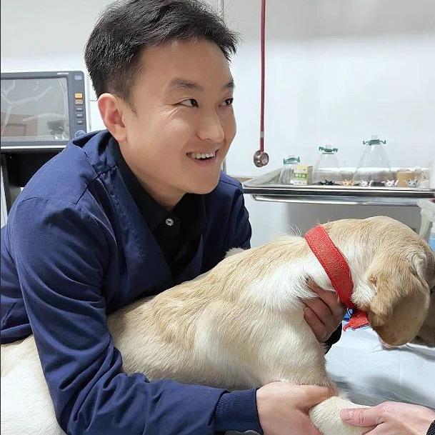 老白是兽医