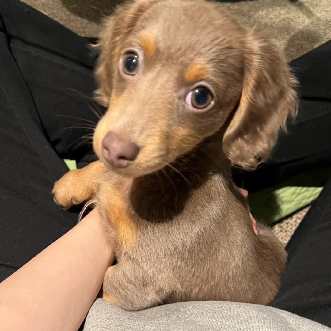 C ˗ˋˏ 𓏣 ˎˊ˗