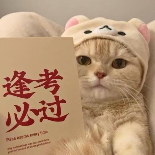 公考上岸🏆杨老师