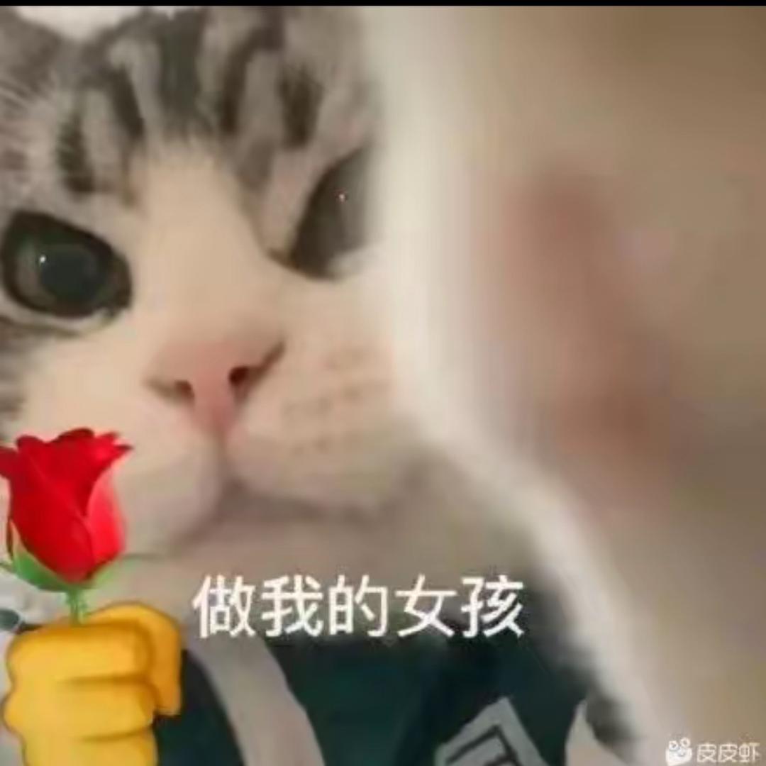 哈基米