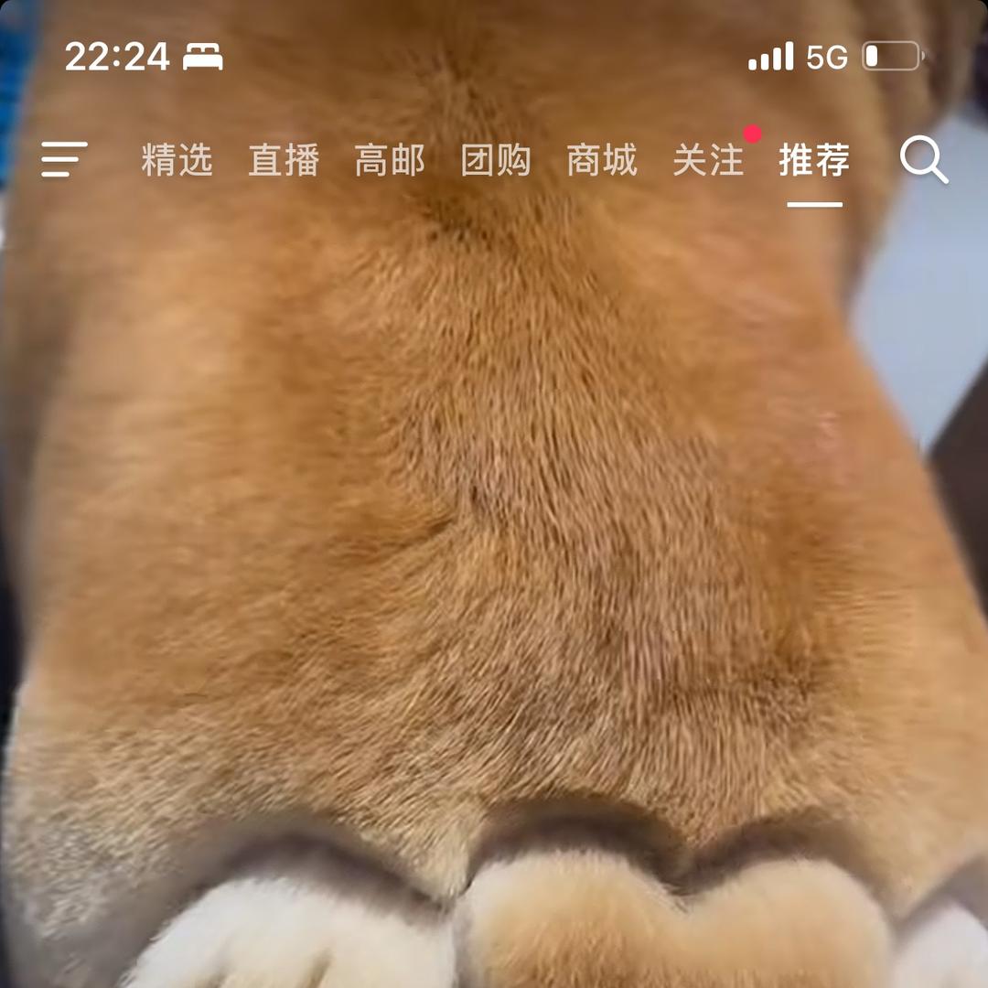 高邮市明亮家宴服务部