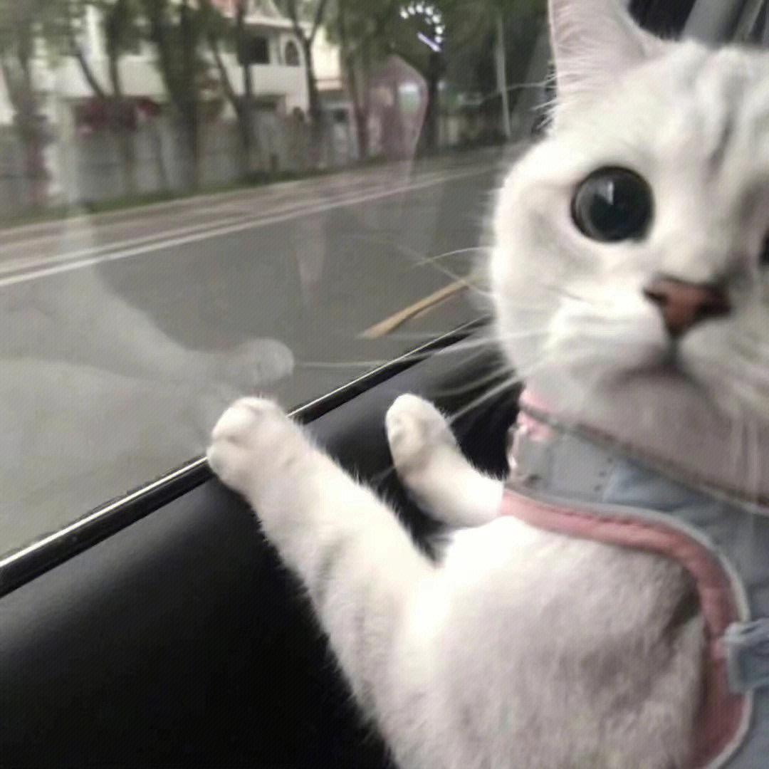 晴天^