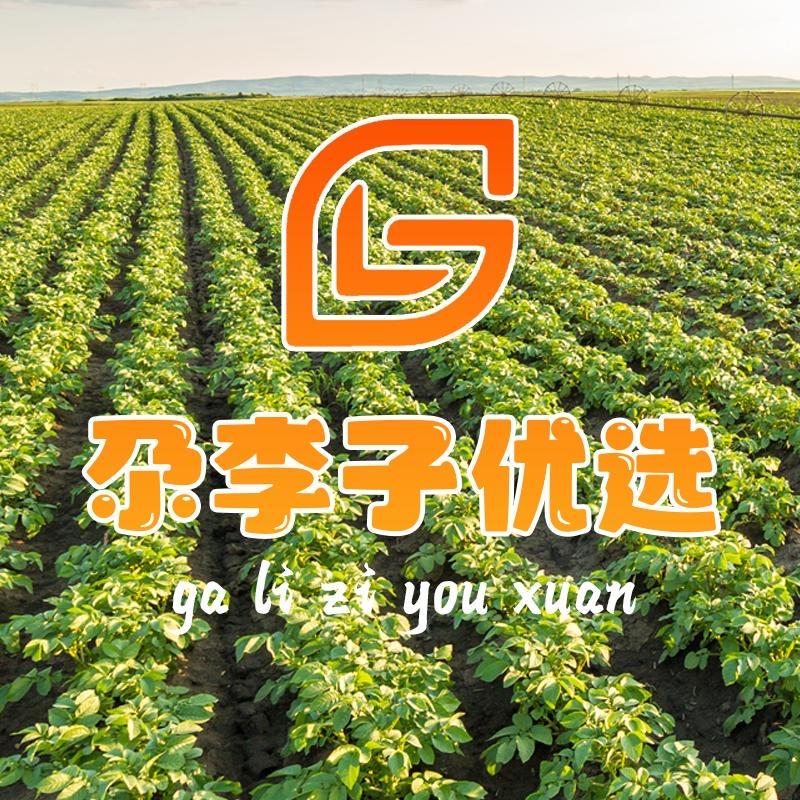 尕李子优品铺