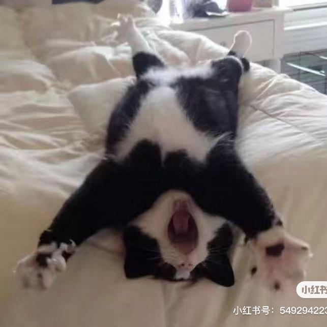 漏子