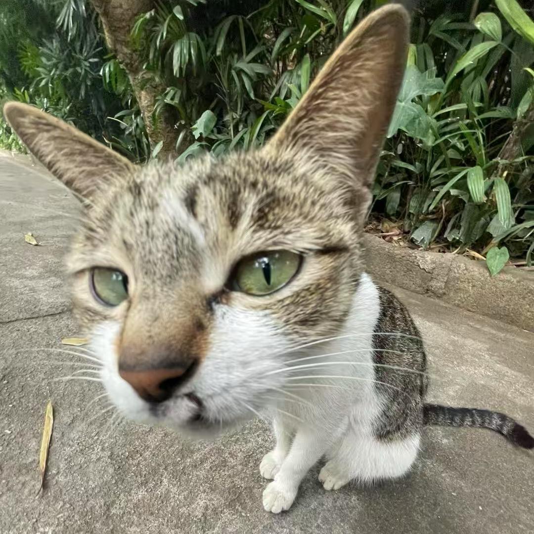 ૧(●´৺`●)૭