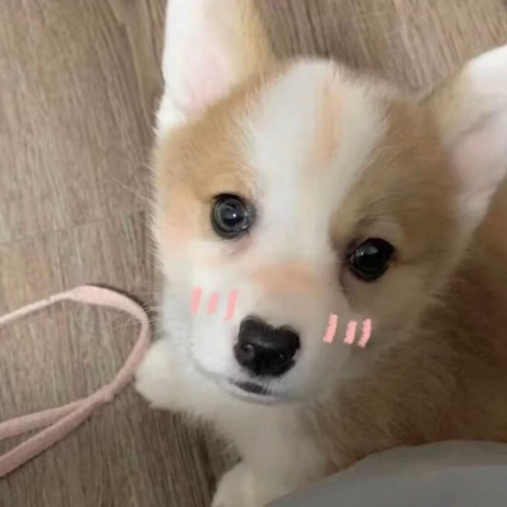 心碎小狗￴ ￴ ￴