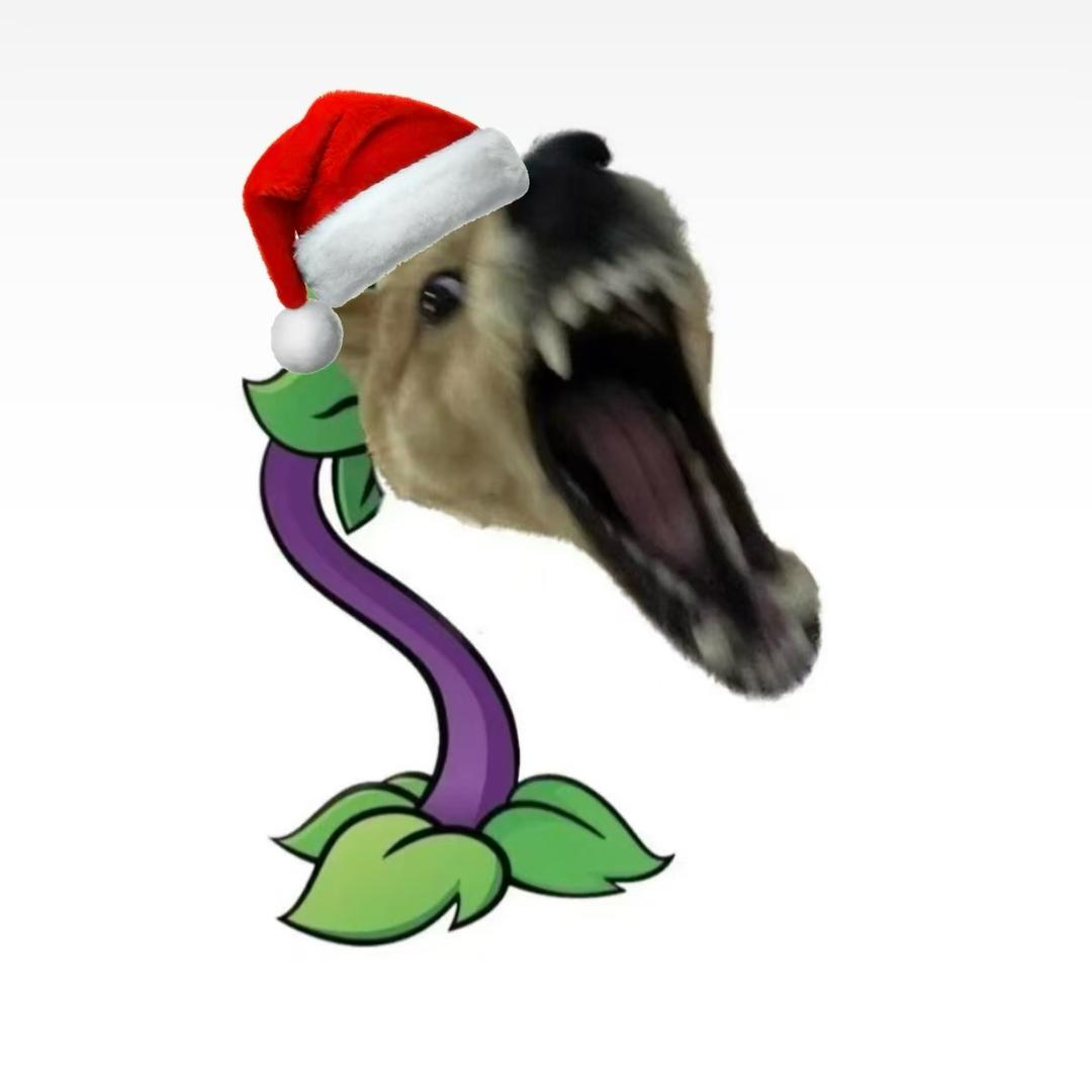 扶老蟑螂过马路被屎壳郎无证驾屎撞飞四十米