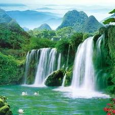 金虎好运连年有余