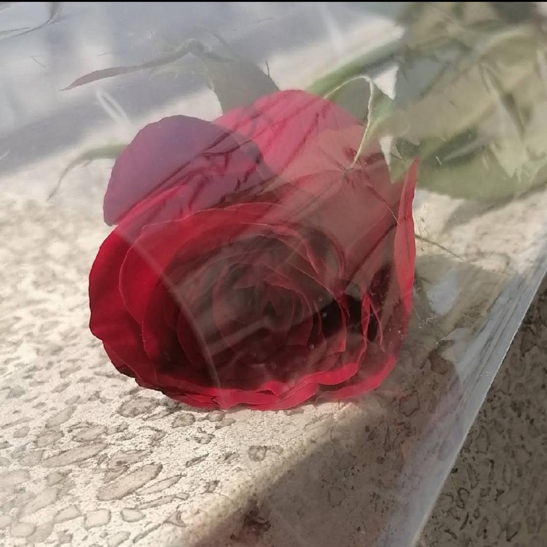 @    ᥫᩣ໌້ᮨ