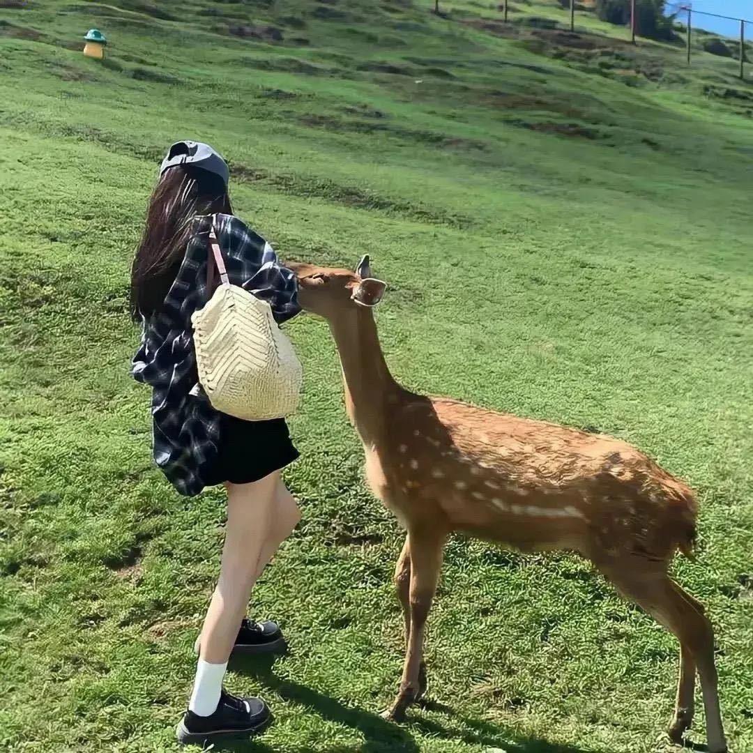 一颗糖