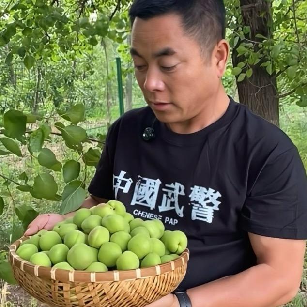 何老头百果土特产