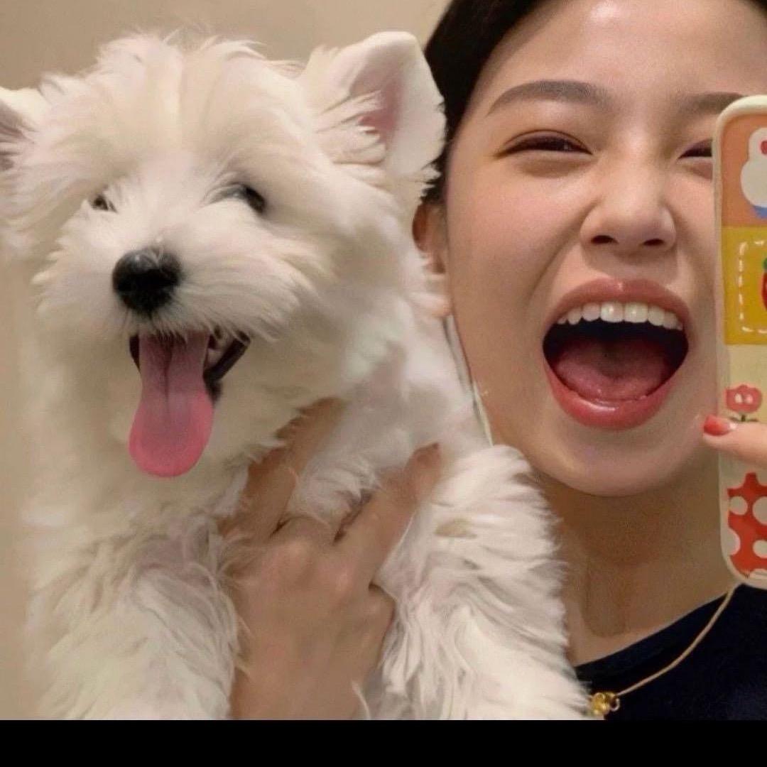 @嘻