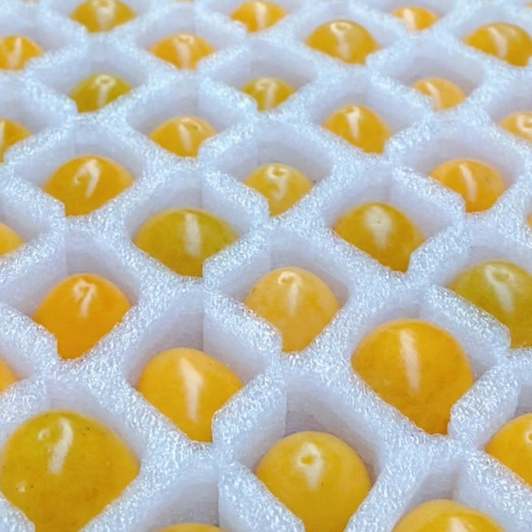 丰顺生鲜
