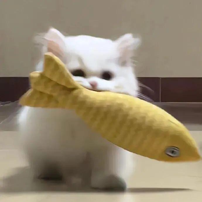 咩子睡噶了