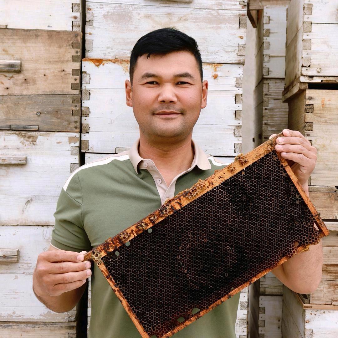 Yahxi 科普知识