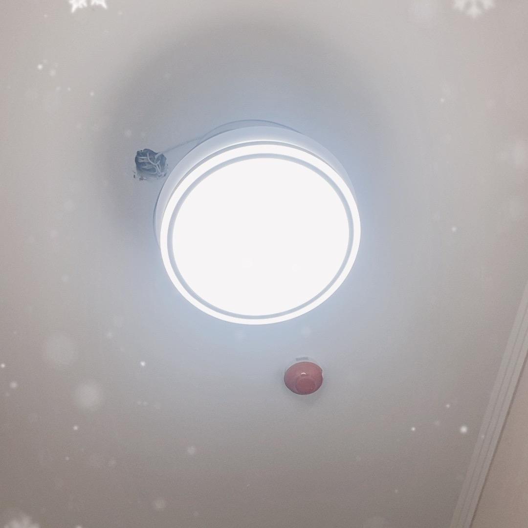 弓哥哥