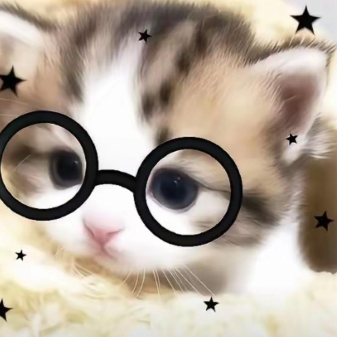 网恋被骗两万八