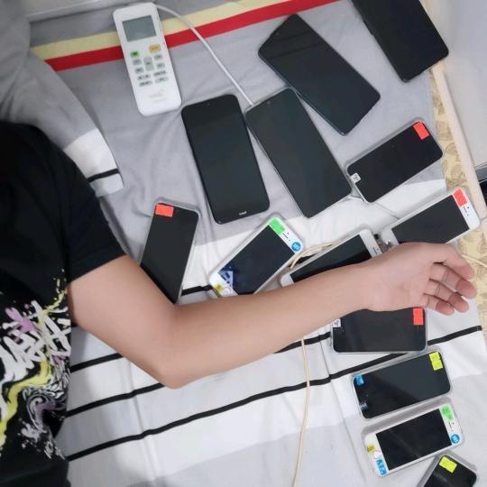 陈白白！