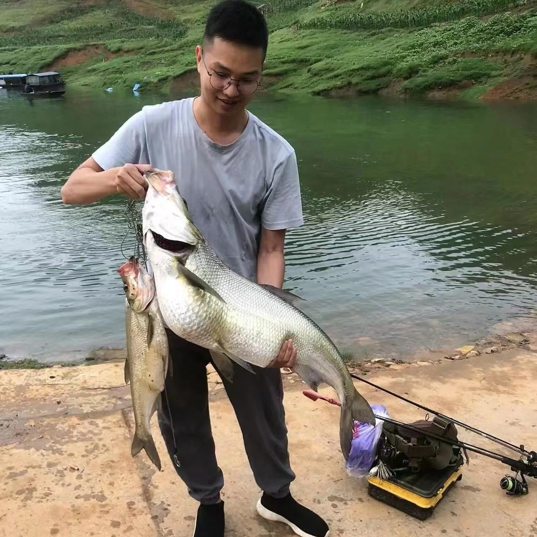 天心语录