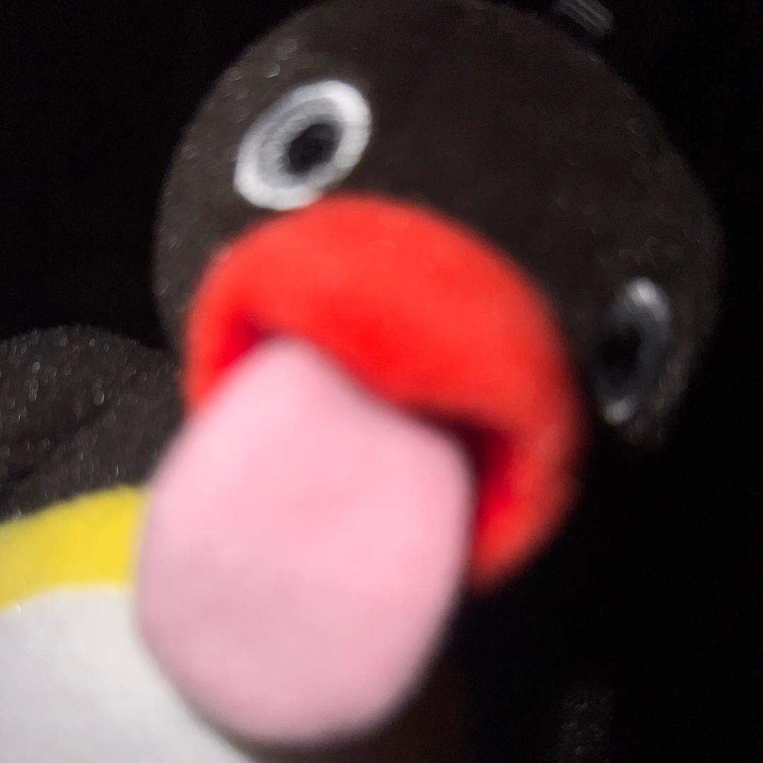 猫田🐈‍⬛⸒⸒⸒