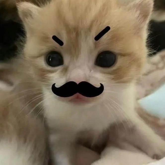 哈吉皮