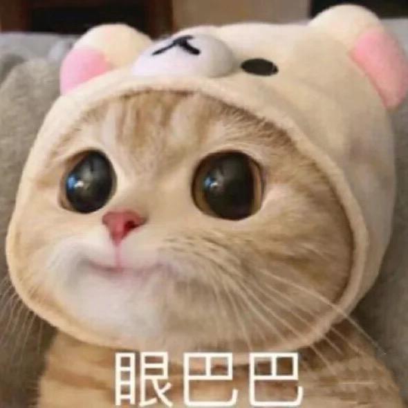 西普川川