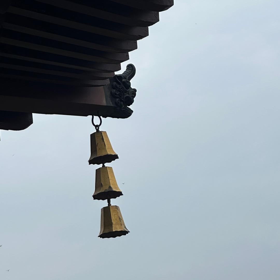 碳烤大公鸡➕老味扒肉（伊春美食）