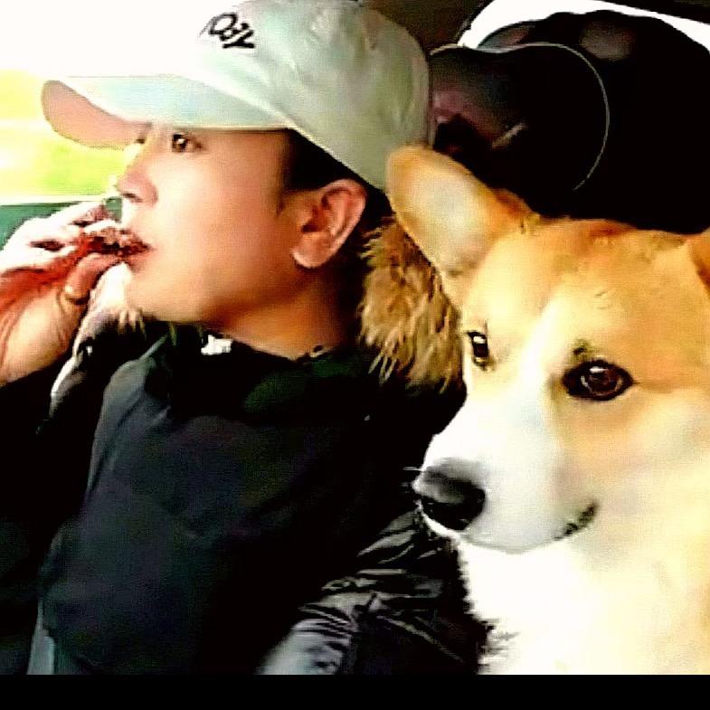 白鸽爱生活（小院版）