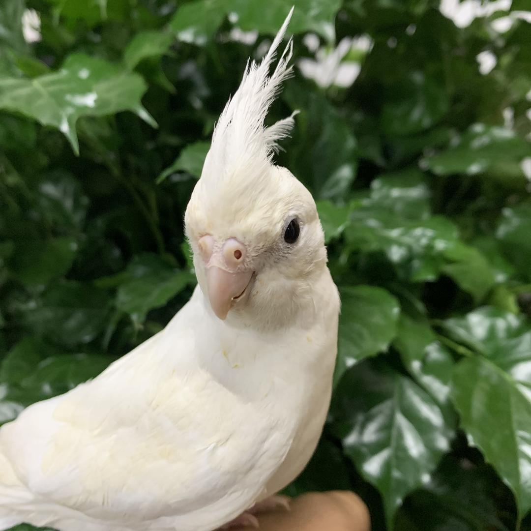 卷墨