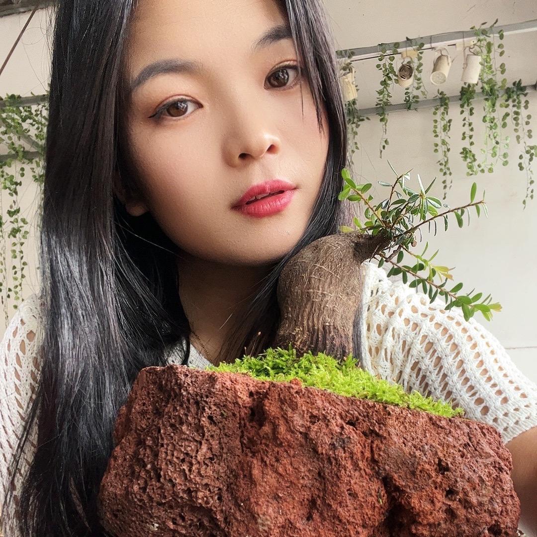 腾冲天然火山石