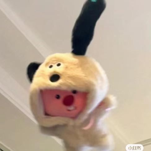 世界第一倒霉五岁儿童