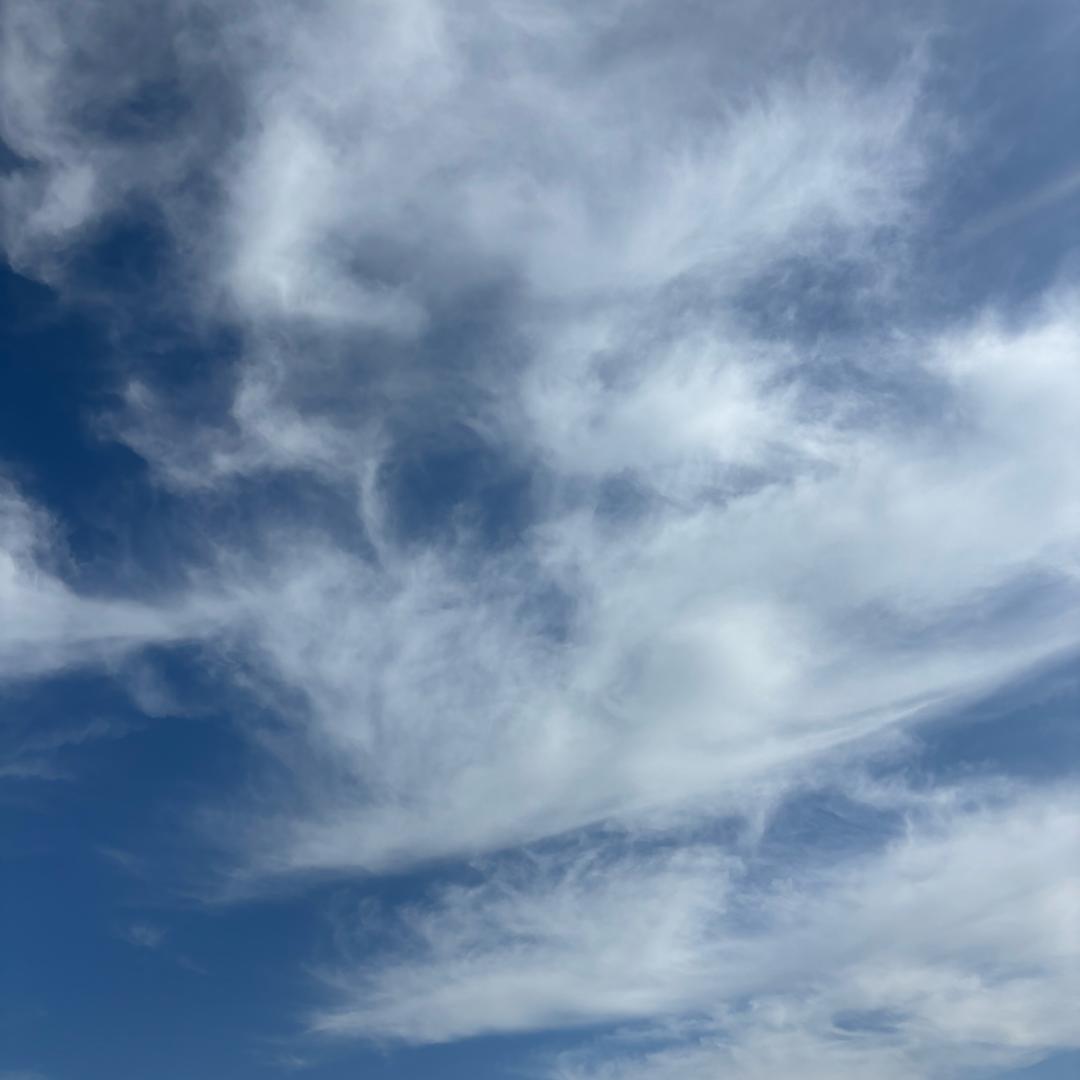 随处风流