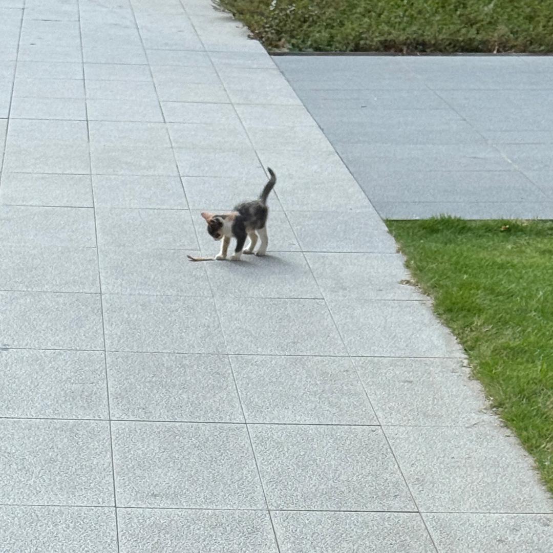 你是不是很想喝☕️