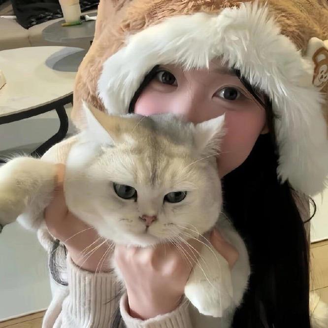 可可西里