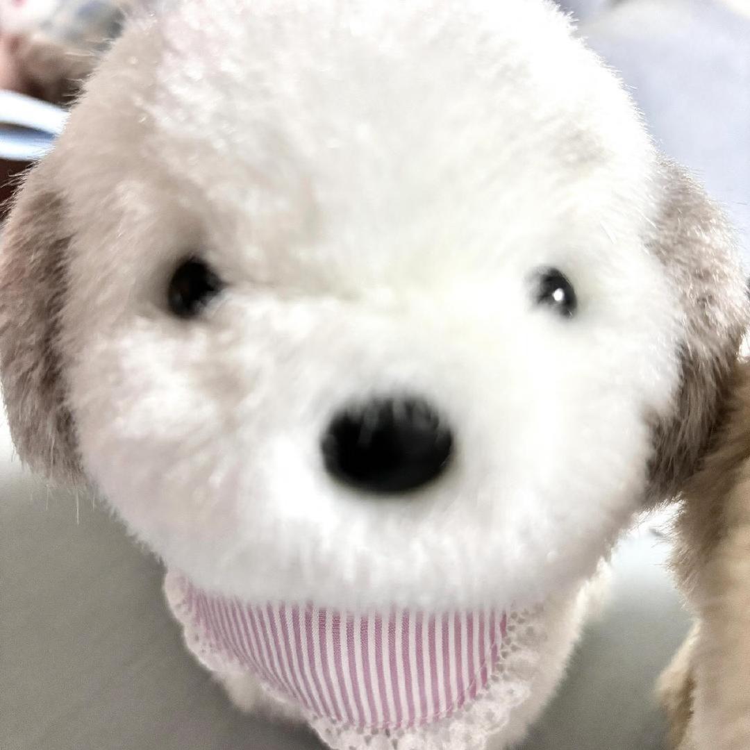 我怎么还没退休