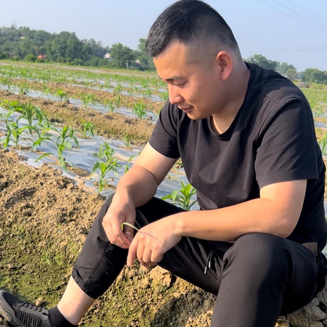 农人邹智