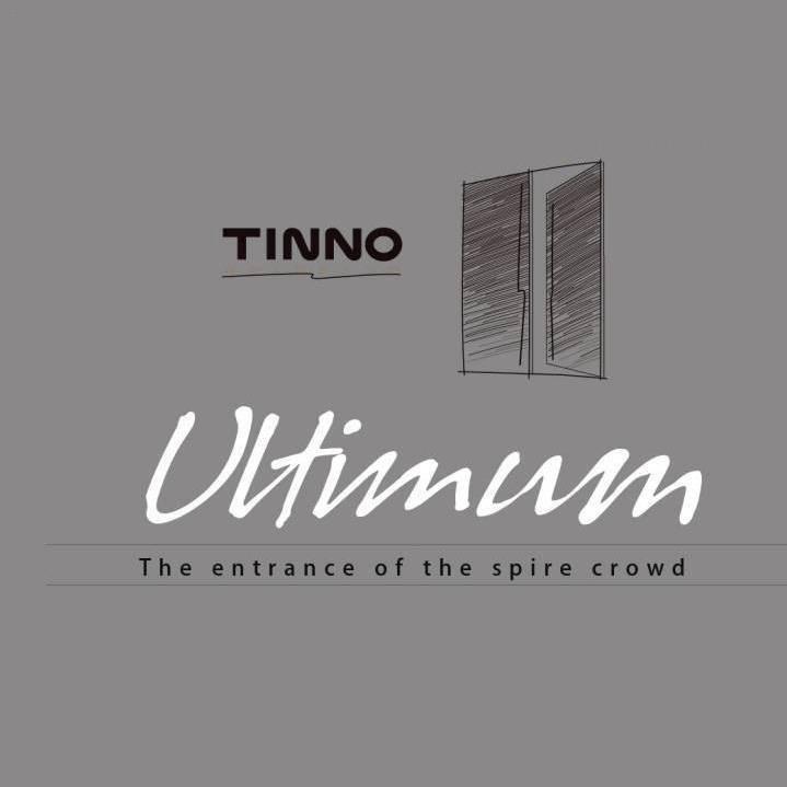 TINNO帝诺系统入户门研究所