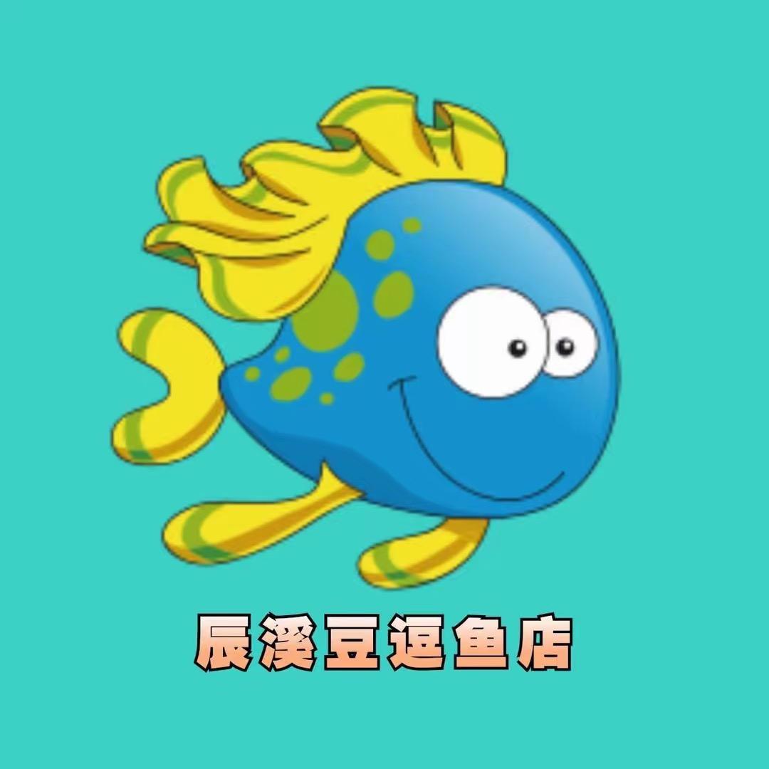 辰溪豆逗鱼童装童鞋集合店