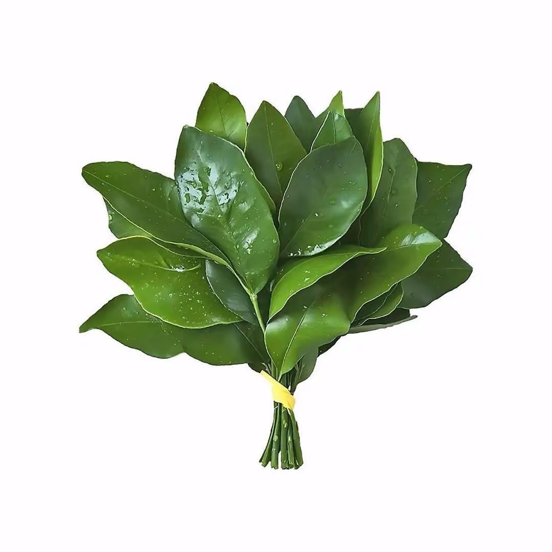 X.H